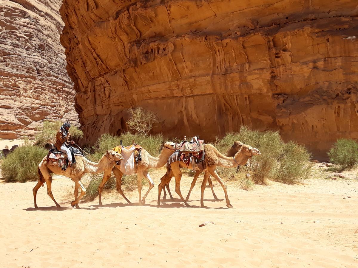 Martian Desert Camp Ram Vadisi Dış mekan fotoğraf